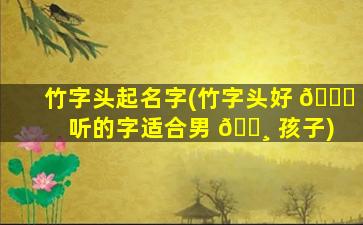 竹字头起名字(竹字头好 💐 听的字适合男 🌸 孩子)